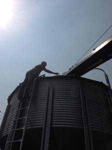 Figure 7 Baldy Hughes Storage Silo, with Brian Styles opening access hatch. The closed belt system which loads the silo is visible. June 14, 2014. Photo by Nathan Dyck.